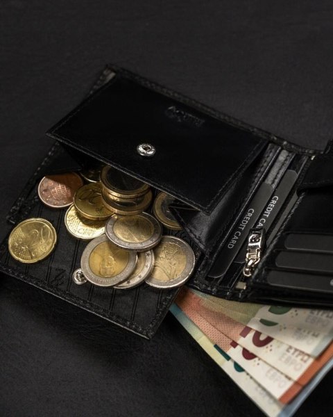 Duży, skórzany portfel męski bez zapięcia - Rovicky Duży, skórzany portfel męski bez zapięcia - Rovicky
