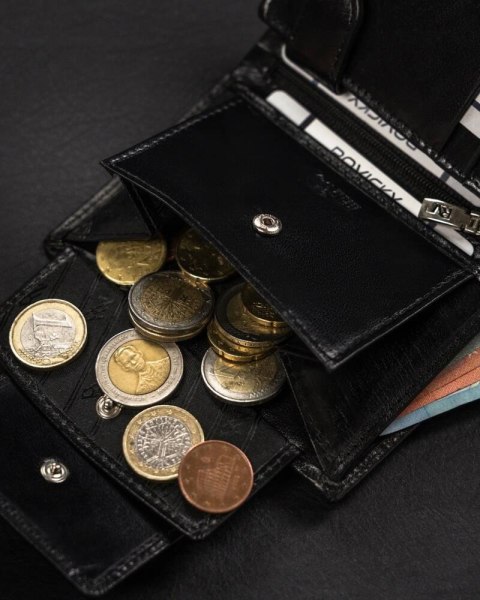 Skórzany portfel na zatrzask z systemem RFID - Rovicky Skórzany portfel na zatrzask z systemem RFID - Rovicky