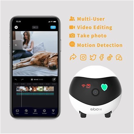 Enabot | EBO SE | Robot - IP Kamera | Kompaktowy | 16GB pamięci zewnętrznej, obsługa maksymalnie 256GB Enabot | EBO SE | Robot - IP Kamera | Kompaktowy | 16GB pamięci zewnętrznej, obsługa maksymalnie 256GB