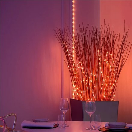 Twinkly|Dots Smart LED Lights 200 RGB (Multicolor), 10m, Transparent|RGB - 16M+ kolorów Twinkly|Dots Smart LED Lights 200 RGB (Multicolor), 10m, Transparent|RGB - 16M+ kolorów