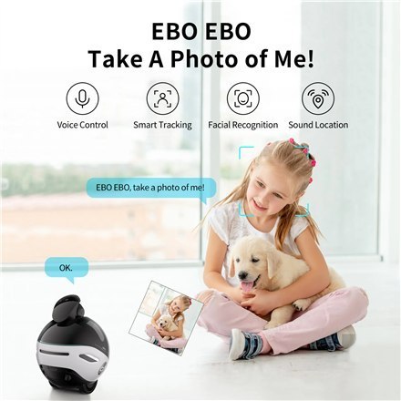 Kamera IP Family Robot | EBO X | 8 MP | 1.8 | H265 | Micro SD, maks. 256 GB Kamera IP Family Robot | EBO X | 8 MP | 1.8 | H265 | Micro SD, maks. 256 GB
