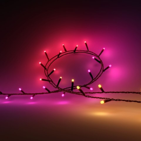 Philips Hue Festavia string lights 500 LED, 40m|Variable Philips Hue Festavia string lights 500 LED, 40m|Variable