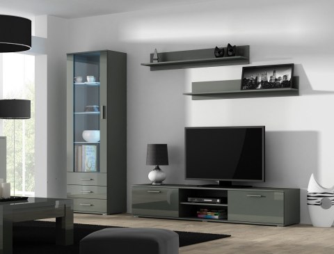 Witryna SOHO S1 szary/ szary połysk Witryna SOHO S1 szary/ szary połysk