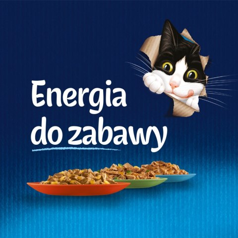 PURINA Felix Fantastic: kurczak - mokra karma dla kota - 85 g PURINA Felix Fantastic: kurczak - mokra karma dla kota - 85 g