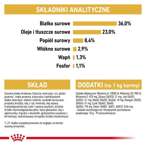 ROYAL CANIN FBN Maine Coon Kitten - sucha karma dla kociąt - 2kg ROYAL CANIN FBN Maine Coon Kitten - sucha karma dla kociąt - 2kg