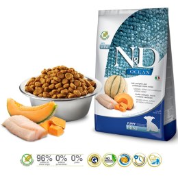 FARMINA N&D Ocean Dog Cod, Pumpkin & Cantaloupe Melon Puppy Mini - sucha karma dla psa - 800g
