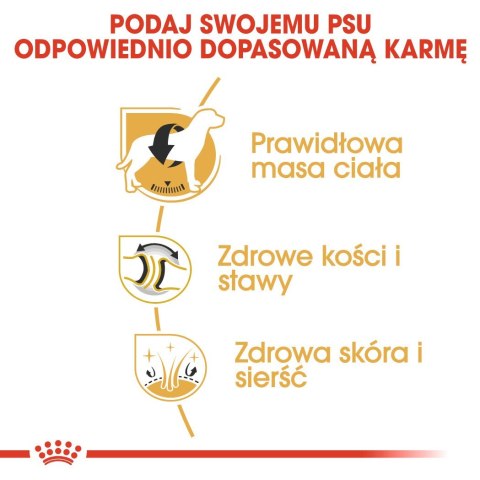 ROYAL CANIN BHN Labrador Retriever Adult - sucha karma dla psa dorosłego - 12 kg ROYAL CANIN BHN Labrador Retriever Adult - sucha karma dla psa dorosłego - 12 kg