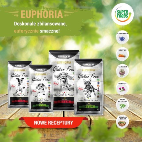 BIOFEED Euphoria G-F psy MID&MAXI jagnięcina 12kg BIOFEED Euphoria G-F psy MID&MAXI jagnięcina 12kg