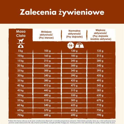 PURINA Dog Chow Mature Senior z jagnięciną - sucha karma dla psa - 14 kg PURINA Dog Chow Mature Senior z jagnięciną - sucha karma dla psa - 14 kg