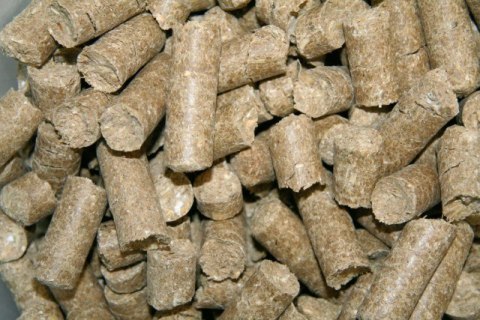 KERBL Smakołyki dla konia Delizia Classic, lukrecja, 1 kg KERBL Smakołyki dla konia Delizia Classic, lukrecja, 1 kg