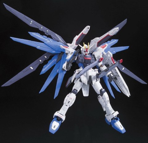 RG 1/144 FREEDOM GUNDAM RG 1/144 FREEDOM GUNDAM