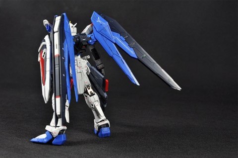 RG 1/144 FREEDOM GUNDAM RG 1/144 FREEDOM GUNDAM