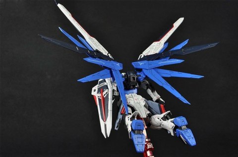 RG 1/144 FREEDOM GUNDAM RG 1/144 FREEDOM GUNDAM