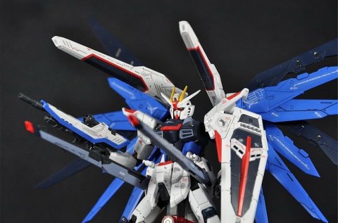 RG 1/144 FREEDOM GUNDAM RG 1/144 FREEDOM GUNDAM
