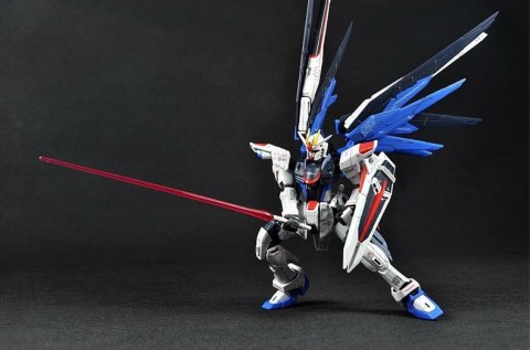 RG 1/144 FREEDOM GUNDAM RG 1/144 FREEDOM GUNDAM