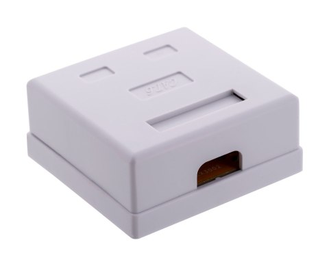 ALANTEC Gniazdo natynkowe UTP kat.6 2xRJ45 ALANTEC Gniazdo natynkowe UTP kat.6 2xRJ45