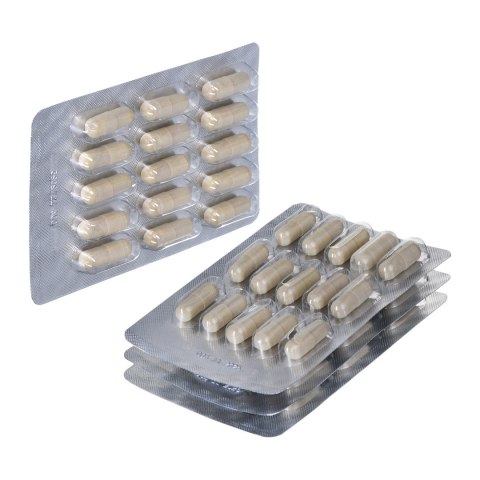 Novativ Ginkgo Biloba 120 Complex 60 kapsułek Novativ Ginkgo Biloba 120 Complex 60 kapsułek