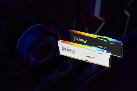 Kingston FURY DDR5 32GB (1x32GB) 6000MHz CL36 Beast White RGB EXPO Kingston FURY DDR5 32GB (1x32GB) 6000MHz CL36 Beast White RGB EXPO