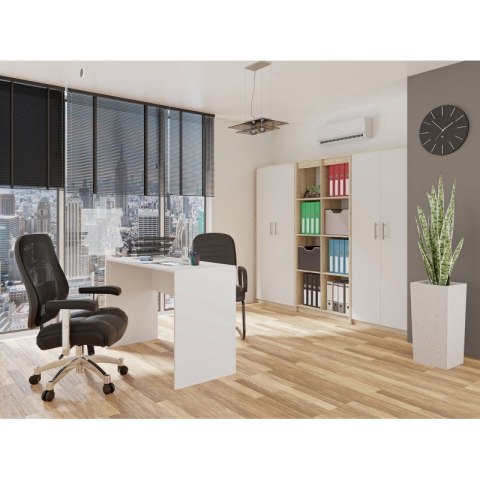 Szafa aktowa OLIV 2D 74x35xH180 sonoma/biały Szafa aktowa OLIV 2D 74x35xH180 sonoma/biały