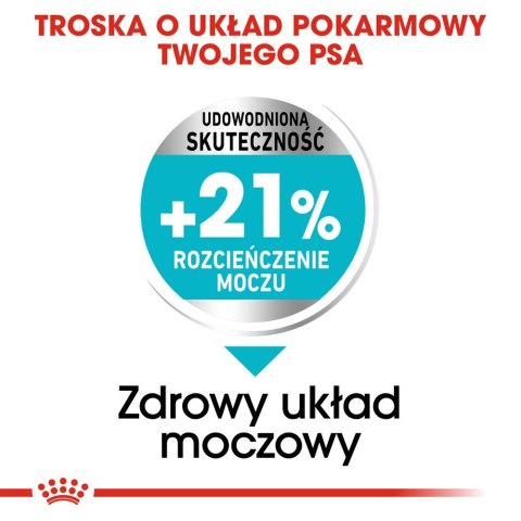 ROYAL CANIN Mini Urinary Care CCN - sucha karma dla psa - 3kg ROYAL CANIN Mini Urinary Care CCN - sucha karma dla psa - 3kg