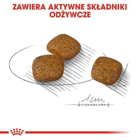 ROYAL CANIN Mini Urinary Care CCN - sucha karma dla psa - 3kg ROYAL CANIN Mini Urinary Care CCN - sucha karma dla psa - 3kg
