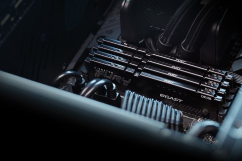 Kingston FURY DDR5 64GB (2x32GB) 6000MHz CL36 Beast Black EXPO Kingston FURY DDR5 64GB (2x32GB) 6000MHz CL36 Beast Black EXPO