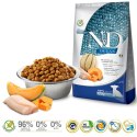FARMINA N&D Ocean Dog Cod, Pumpkin, Cantaloupe Melon Puppy Mini - sucha karma dla psa - 2.5 kg