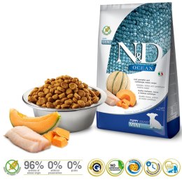 FARMINA N&D Ocean Dog Cod, Pumpkin, Cantaloupe Melon Puppy Mini - sucha karma dla psa - 2.5 kg