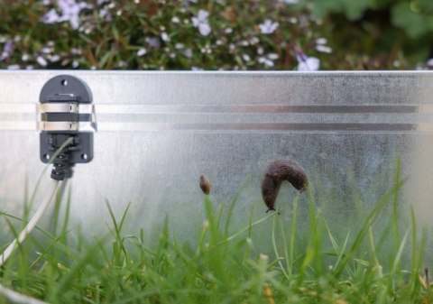 KERBL Elektryczne ogrodzenie przeciwko ślimakom SnailStop KERBL Elektryczne ogrodzenie przeciwko ślimakom SnailStop