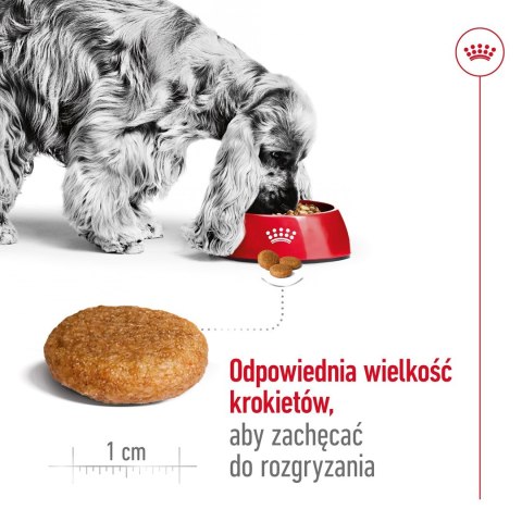 Royal Canin SHN Medium Adult BF 4kg Royal Canin SHN Medium Adult BF 4kg