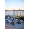Ninebot by Segway Kickscooter E2 PRO E, czarny | Segway