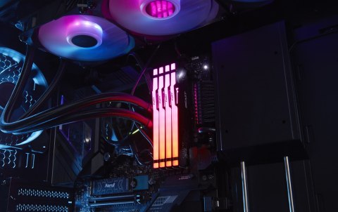 Kingston FURY DDR5 64GB (2x32GB) 5600MHz CL36 Beast Black RGB EXPO AMD Kingston FURY DDR5 64GB (2x32GB) 5600MHz CL36 Beast Black RGB EXPO AMD