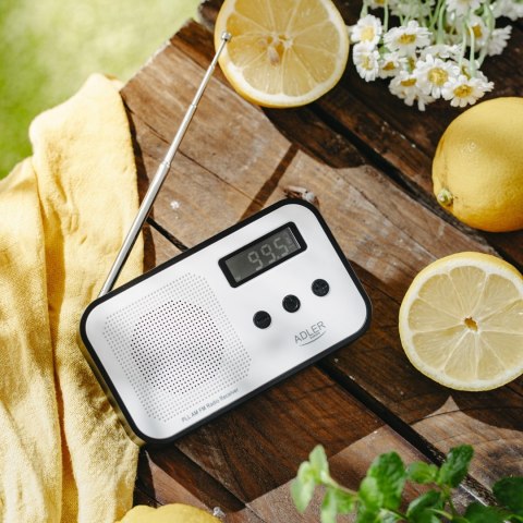 Radio ADLER AD 1907 Radio ADLER AD 1907