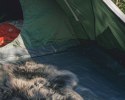 Outwell Cloud 5 Two room Dome Tent for 5 persons, Green, Grey | Outwell