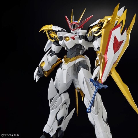 HG AMPLIFIED IMGN RYUOMARU HG AMPLIFIED IMGN RYUOMARU