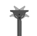 Neomounts CL35-340BL22 Monitor/TV mount ceiling 2 screens - 23-42" - max 45 kg/screen - VESA 100x100-200x200 - h 106-156 cm - bl