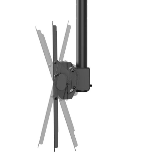 Neomounts CL35-440BL16XL Monitor/TV mount ceiling 1 screen - 37-70" - max 50 kg - VESA 200x200-600x400 - h 250-300 cm - black Neomounts CL35-440BL16XL Monitor/TV mount ceiling 1 screen - 37-70" - max 50 kg - VESA 200x200-600x400 - h 250-300 cm - black