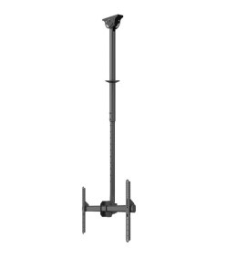 Neomounts CL35-440BL16L Monitor/TV mount ceiling 1 screen - 37-70