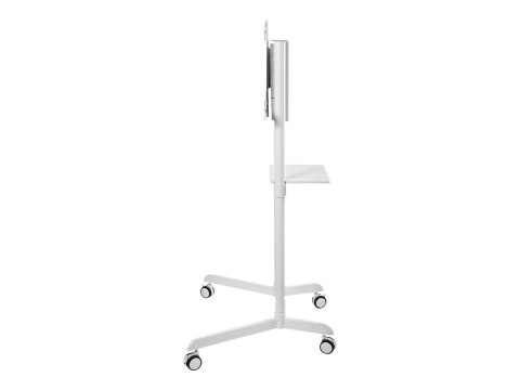 Neomounts NS-M1250WHITE TV trolley - 37-70" - max 70 kg - VESA 200x200-600x400 - 90° rotatable - incl. hardware shelf - white Neomounts NS-M1250WHITE TV trolley - 37-70" - max 70 kg - VESA 200x200-600x400 - 90° rotatable - incl. hardware shelf - white