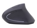 Gembird | Bezprzewodowa mysz optyczna 2,4 GHz | MUSW-ERGO-01 | Mysz optyczna | USB | Czarny