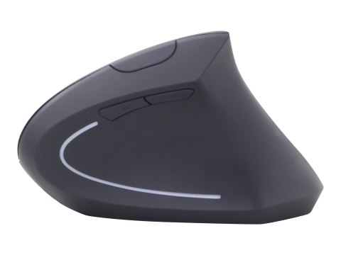 Gembird | Bezprzewodowa mysz optyczna 2,4 GHz | MUSW-ERGO-01 | Mysz optyczna | USB | Czarny Gembird | Bezprzewodowa mysz optyczna 2,4 GHz | MUSW-ERGO-01 | Mysz optyczna | USB | Czarny