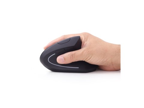 Gembird | Bezprzewodowa mysz optyczna 2,4 GHz | MUSW-ERGO-01 | Mysz optyczna | USB | Czarny Gembird | Bezprzewodowa mysz optyczna 2,4 GHz | MUSW-ERGO-01 | Mysz optyczna | USB | Czarny