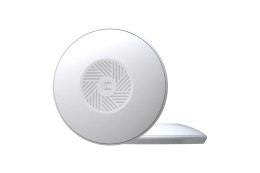 Bezprzewodowy punkt dostępowy Teltonika | TAP100 | 802.11n | 10/100 Mbit/s | Porty Ethernet LAN (RJ-45) 1 | MU-MiMO No | PoE in