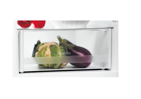 INDESIT | Chłodziarka | LI6 S2E W | Klasa efektywności energetycznej E | Wolnostojąca | Kombi | Wysokość 158,8 cm | Pojemność ch INDESIT | Chłodziarka | LI6 S2E W | Klasa efektywności energetycznej E | Wolnostojąca | Kombi | Wysokość 158,8 cm | Pojemność ch