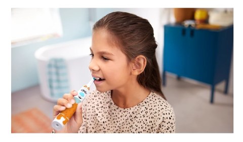 Elektryczna szczoteczka do zębów Sonicare Sonic | HX3601/01 | Akumulatorowa | Dla dzieci | Liczba główek szczoteczki w zestawie Elektryczna szczoteczka do zębów Sonicare Sonic | HX3601/01 | Akumulatorowa | Dla dzieci | Liczba główek szczoteczki w zestawie