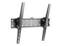 Gembird | Uchwyt ścienny | WM-55T-02 | 32-55 " | Maksymalna waga (udźwig) 40 kg | Czarny