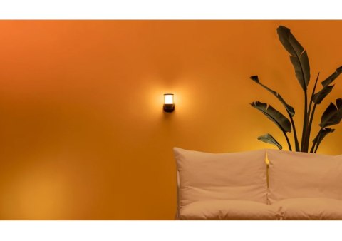 WiZ Smart WiFi Outdoor Wall Light Wizarding World WiZ Smart WiFi Outdoor Wall Light Wizarding World