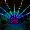 Twinkly|Strings Smart LED Lights 400 RGBW (Multicolor + White), 32m, czarny przewód|RGBW - 16M+ kolorów + Ciepła biel