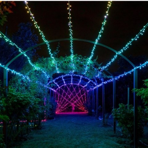 Twinkly|Strings Smart LED Lights 400 RGBW (Multicolor + White), 32m, czarny przewód|RGBW - 16M+ kolorów + Ciepła biel Twinkly|Strings Smart LED Lights 400 RGBW (Multicolor + White), 32m, czarny przewód|RGBW - 16M+ kolorów + Ciepła biel