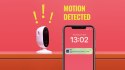 WiZ Smart WiFi Self-Monitoring Starter kit|8.5 W